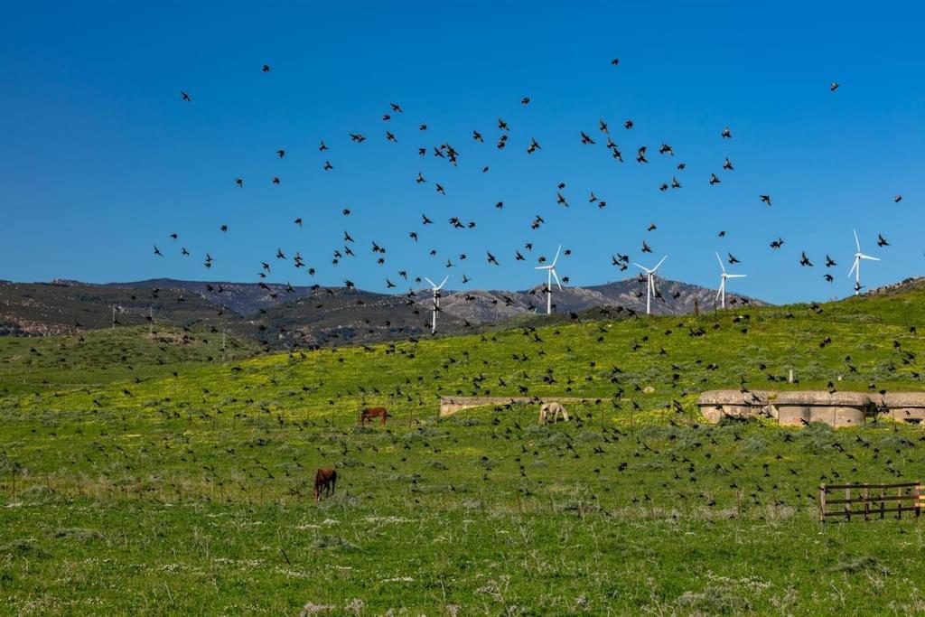 Habitaciones Rurales La Vega タリファ エクステリア 写真