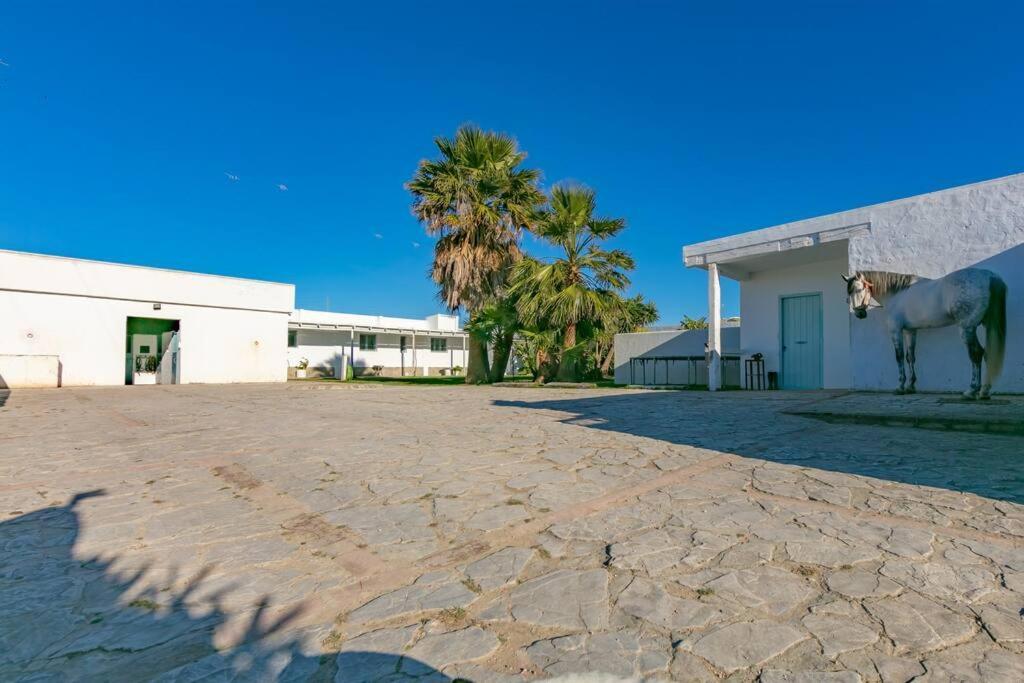 Habitaciones Rurales La Vega タリファ エクステリア 写真
