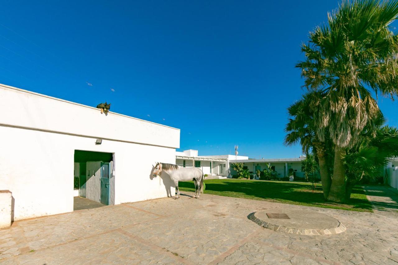 Habitaciones Rurales La Vega タリファ エクステリア 写真